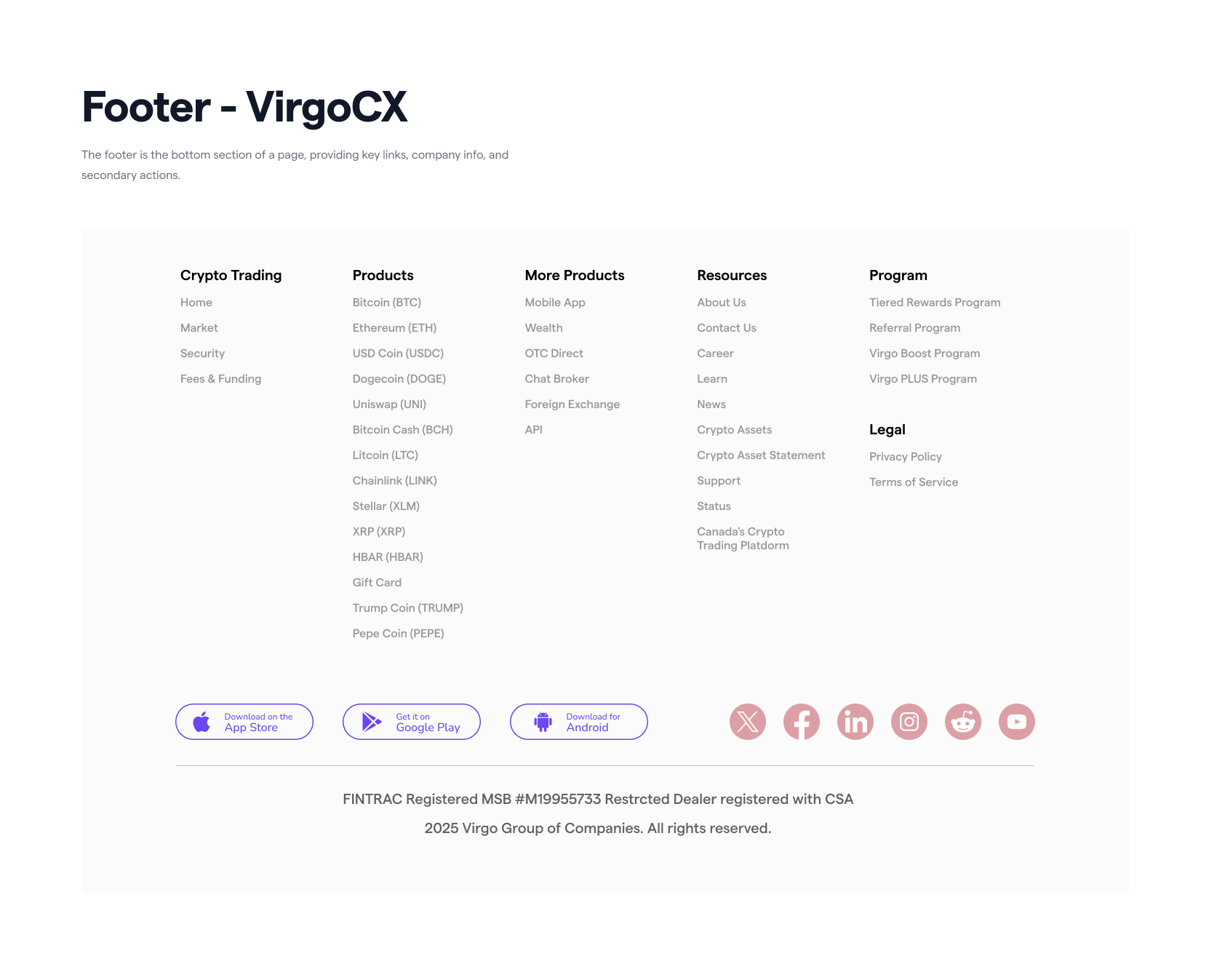 Footer VirgoCX